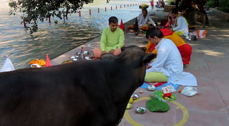 Shanti and Pitra Karma